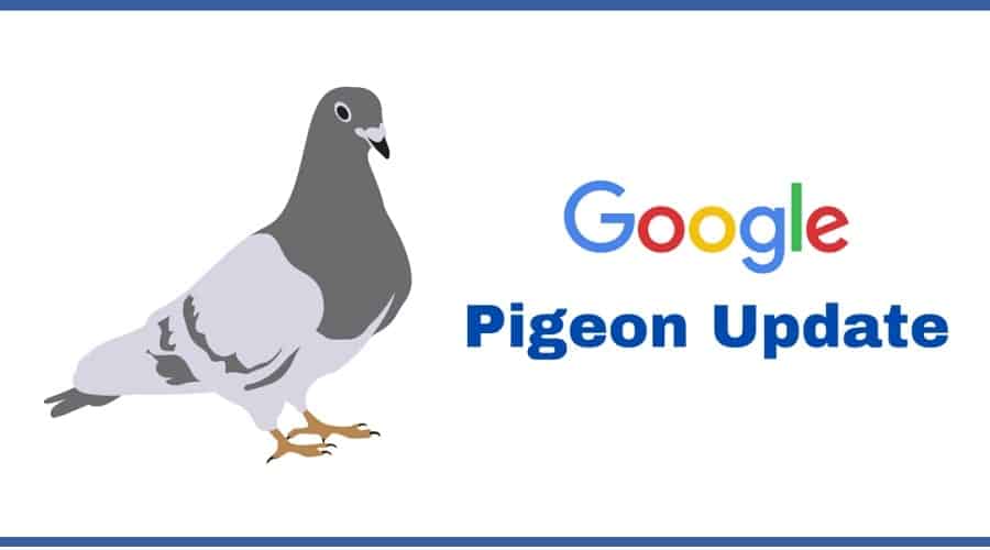 thuật toán google pigeon là gì